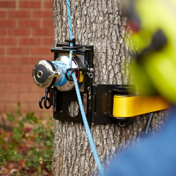 GRCS Good Control Rigging System on tree