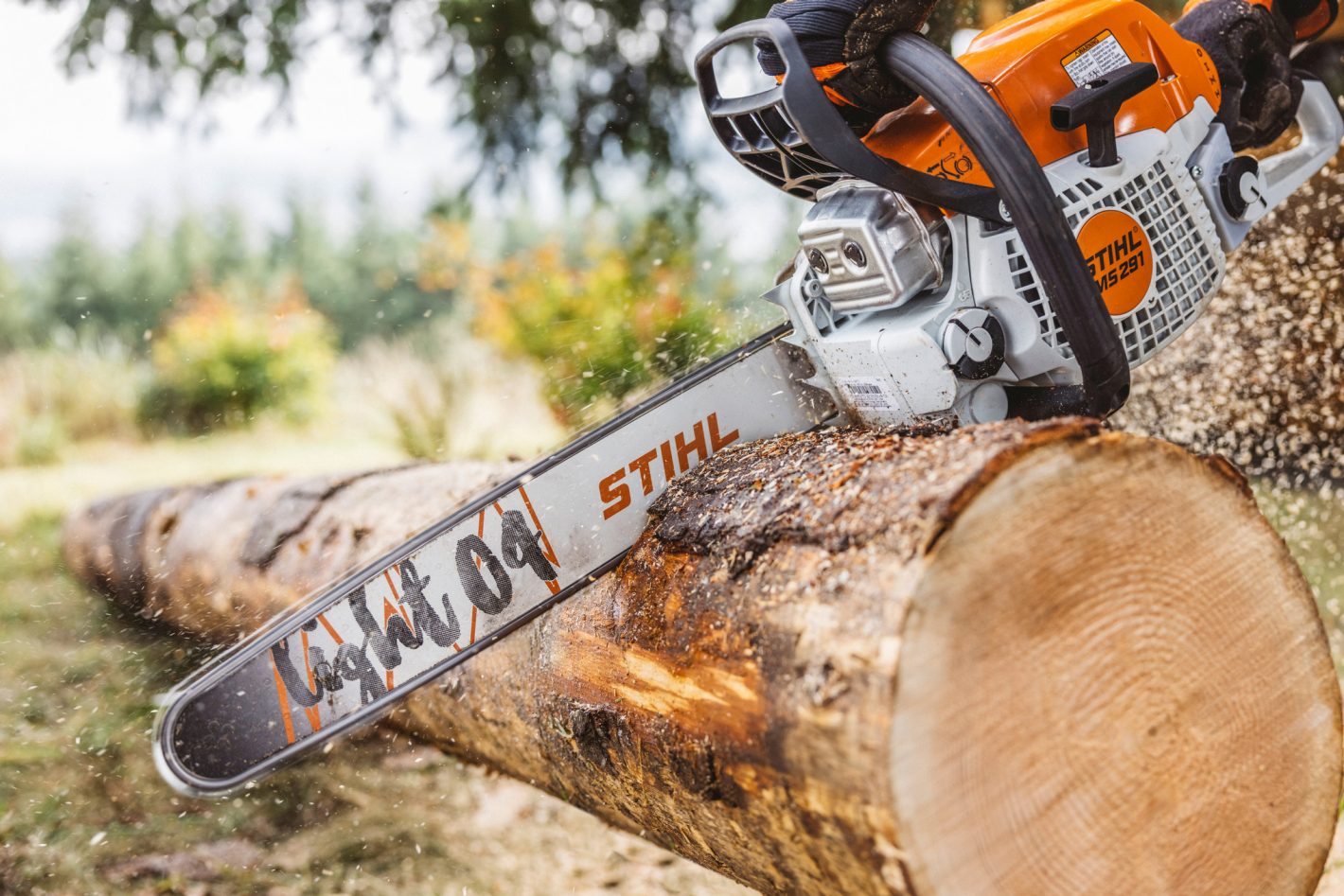 Stihl MS 291 petrol chainsaw action