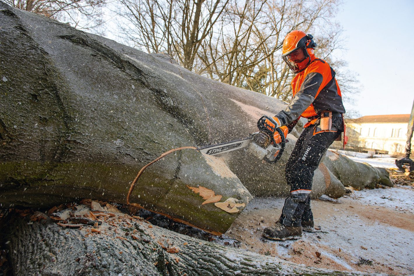 Stihl MS 661 C-M petrol chainsaw action 1