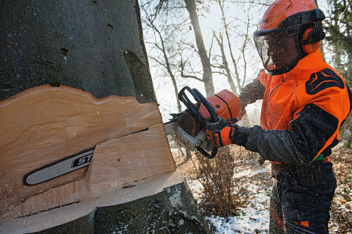 Stihl MS 661 C-M petrol chainsaw action 2