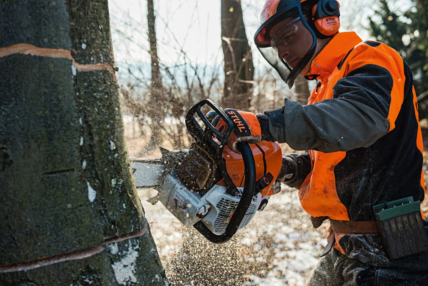 Stihl MS 661 C-M petrol chainsaw action 3