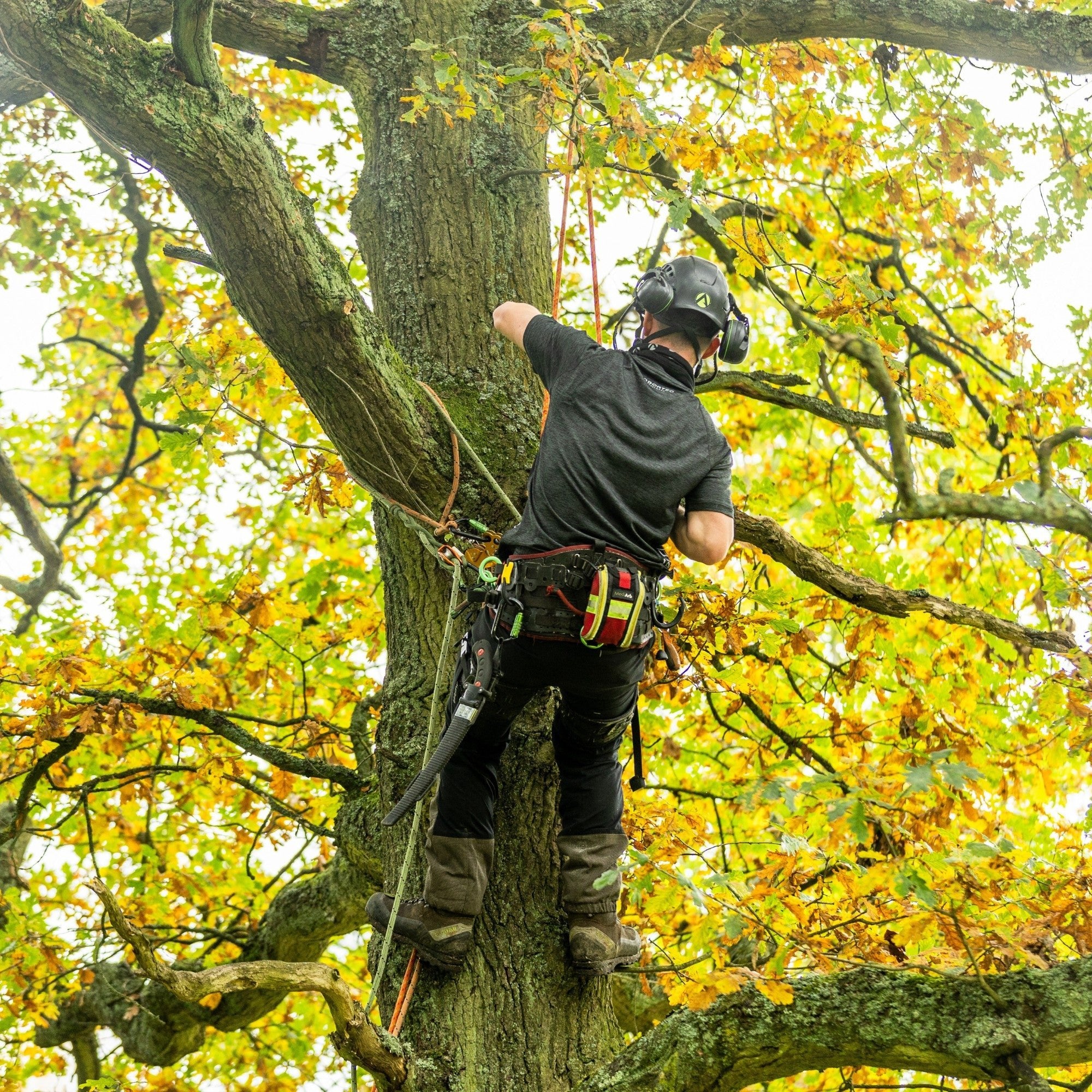 Arbortec Breatheflex Pro Type C Chainsaw Trousers - Image 29