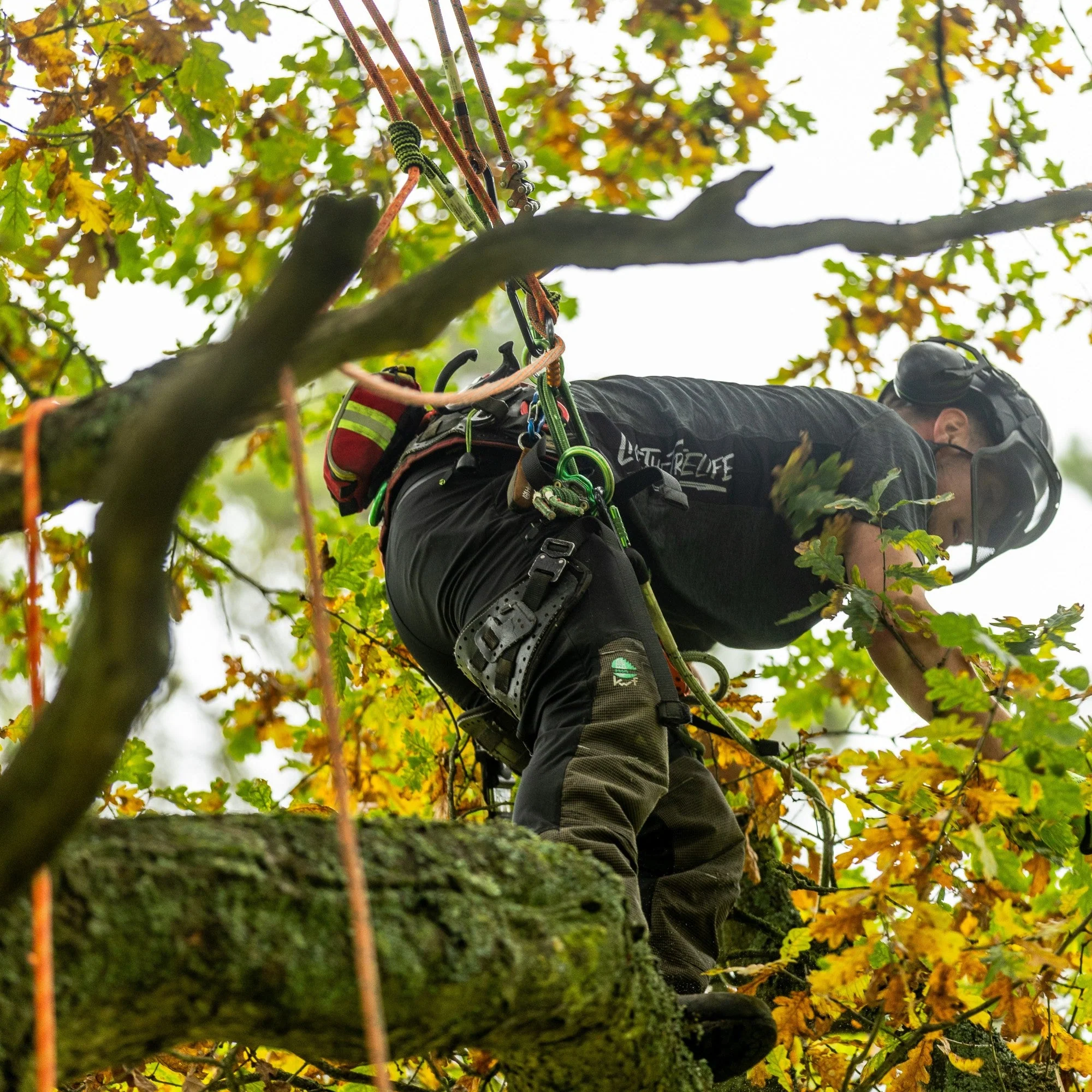 Arbortec Breatheflex Pro Type C Chainsaw Trousers - Image 30