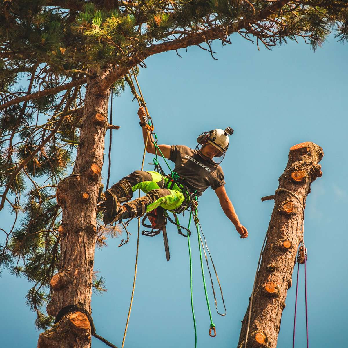 Arbortec Breatheflex Pro Type C Chainsaw Trousers - Image 14