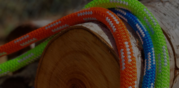 Thorough Examination of Arboricultural Equipment (LOLER) - Honey Brothers