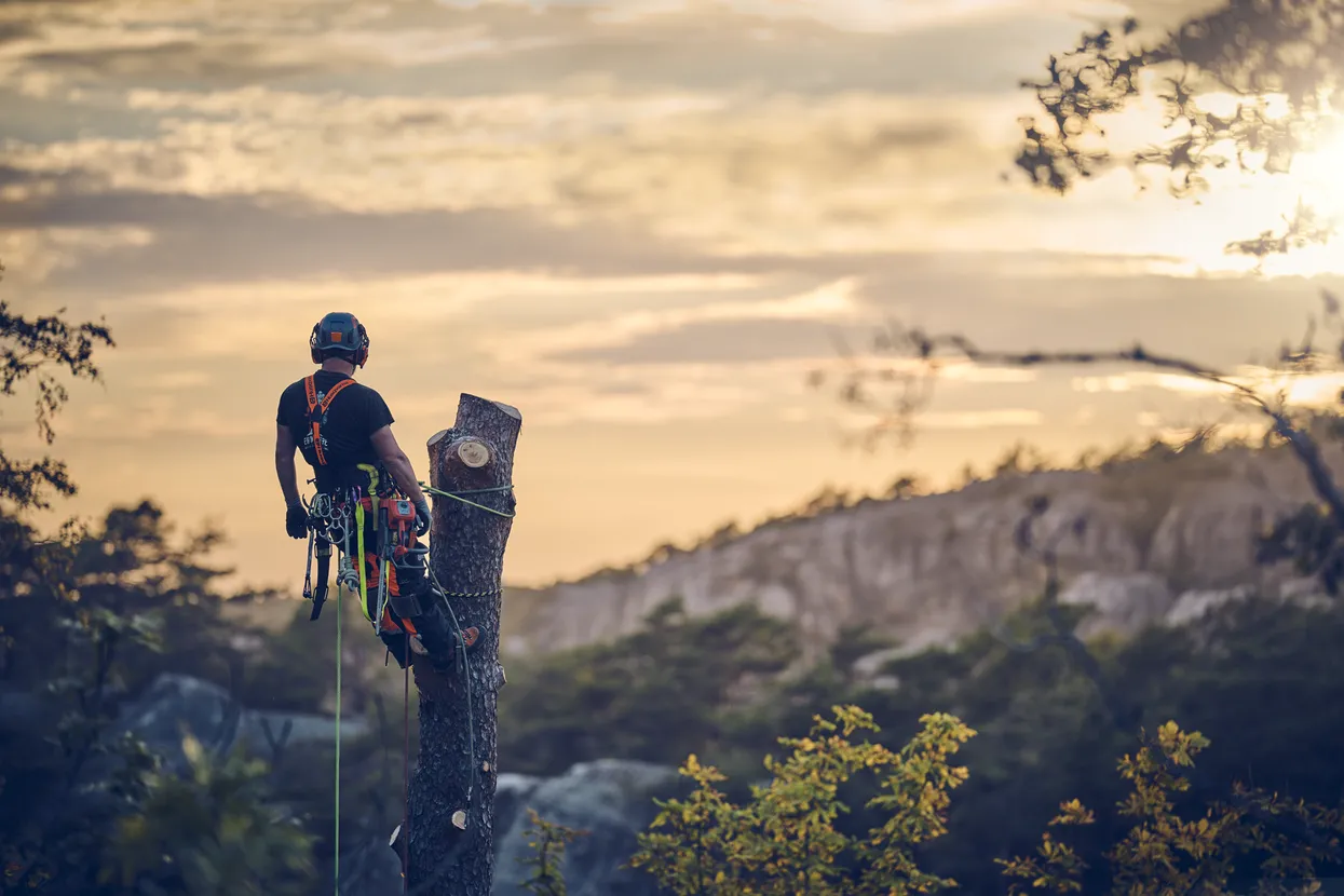 Husqvarna T540 XP III Petrol Chainsaw - Image 4