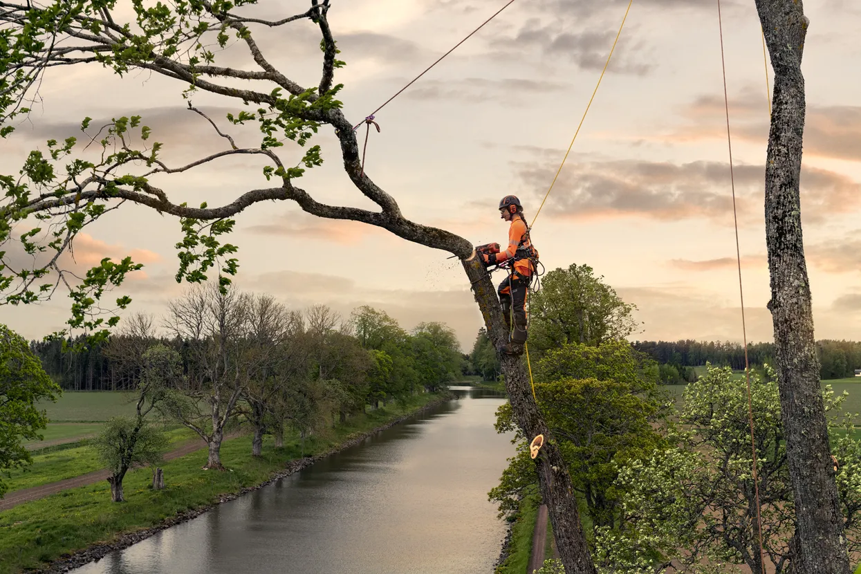 Husqvarna T540 XP III Petrol Chainsaw - Image 5