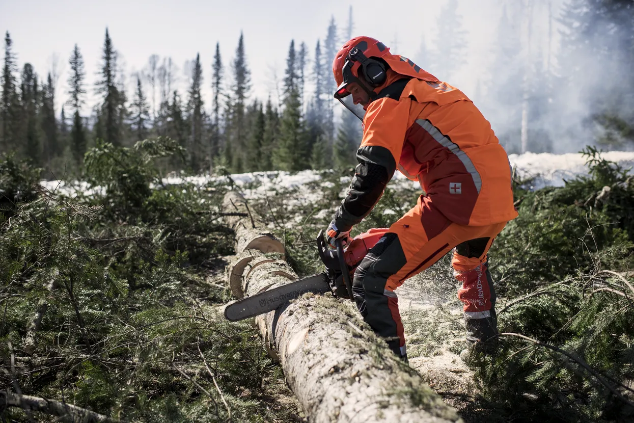 Husqvarna 565 Petrol Chainsaw Action 2