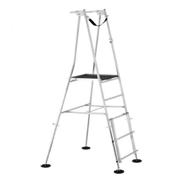 Hi step junior ladder