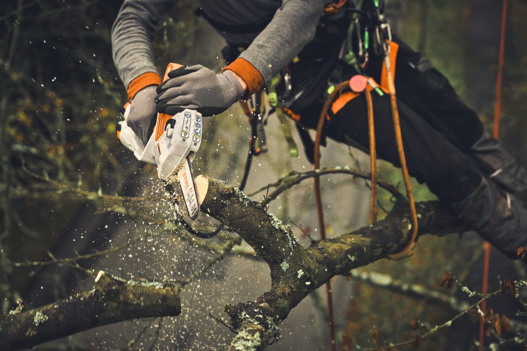 Stihl Light Chainsaw Bar 15cm/6" Bar 1/4 Picco 0.043 - Image 3