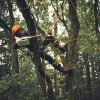 Stihl MSA 190 T Battery Chainsaw - Image 7