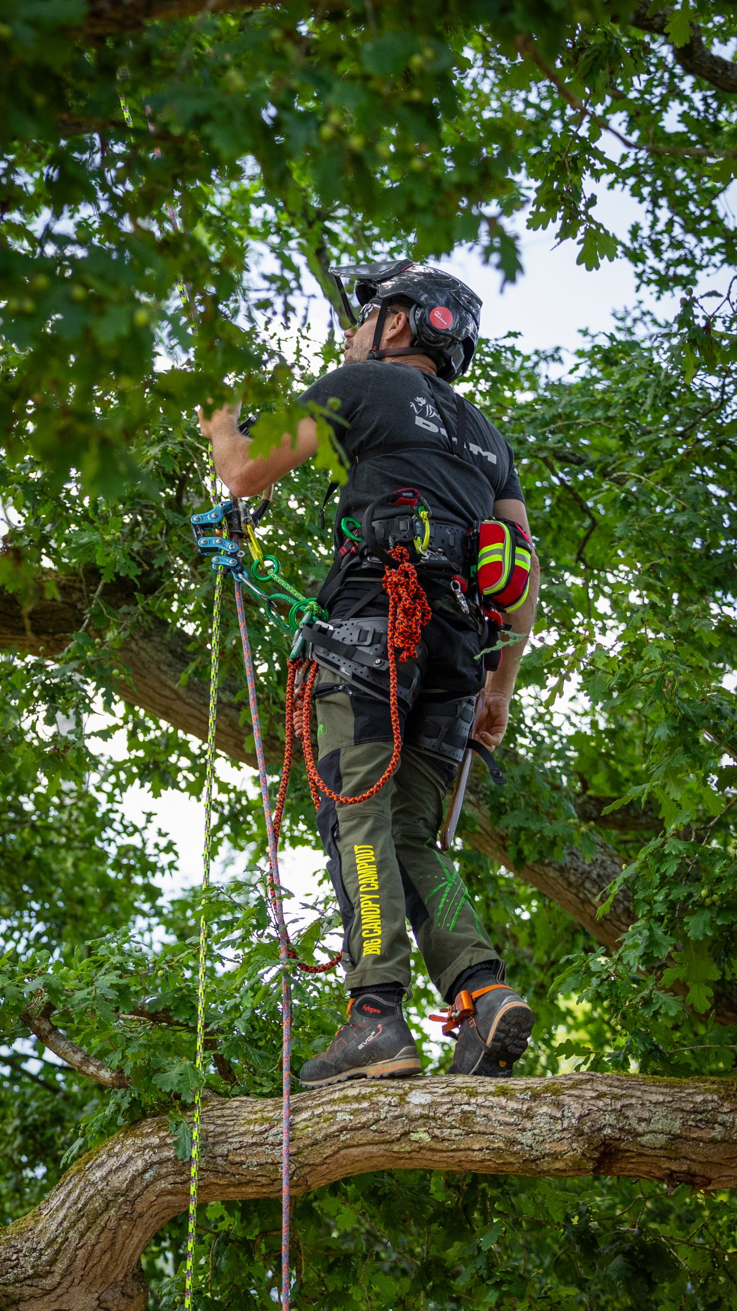 DMM Kinisi Key Climbing Harness - Image 9