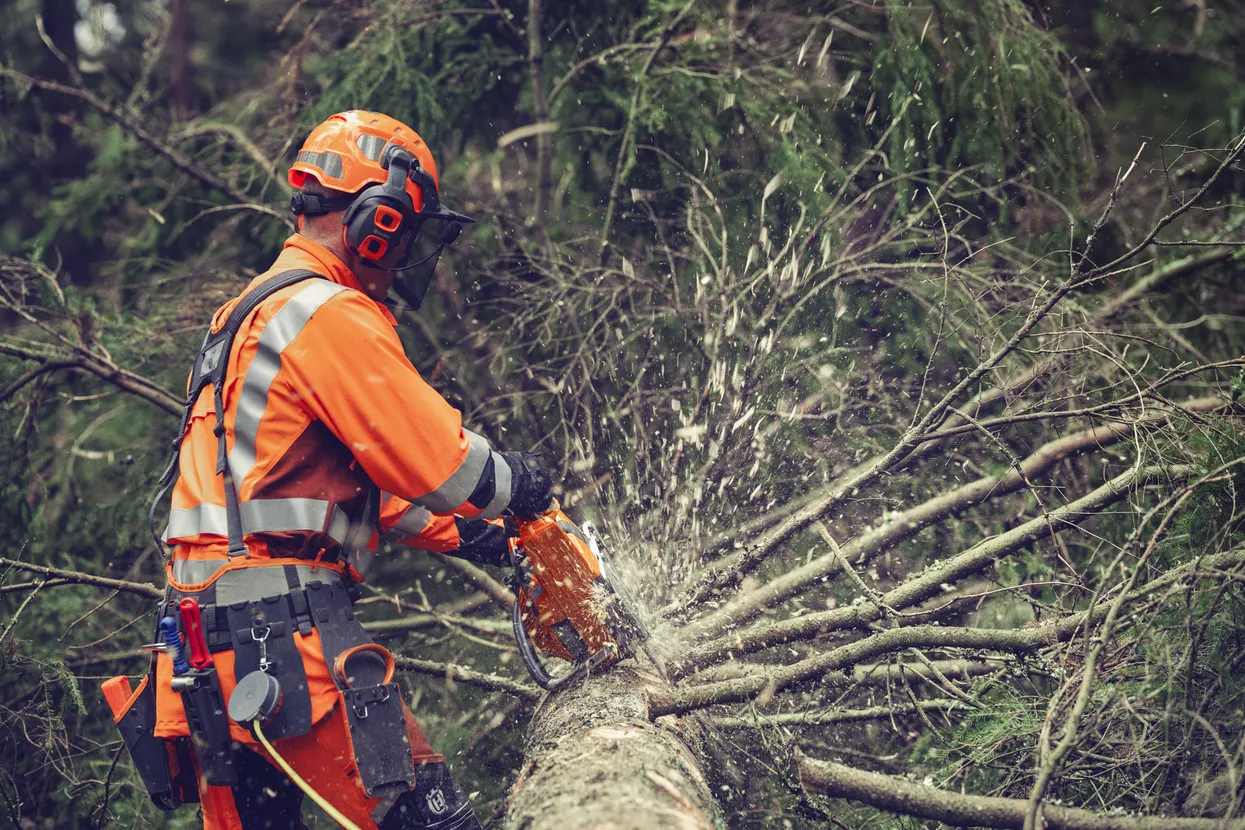 Husqvarna 564 XPG Petrol Chainsaw 50cm/20" Bar - Image 7