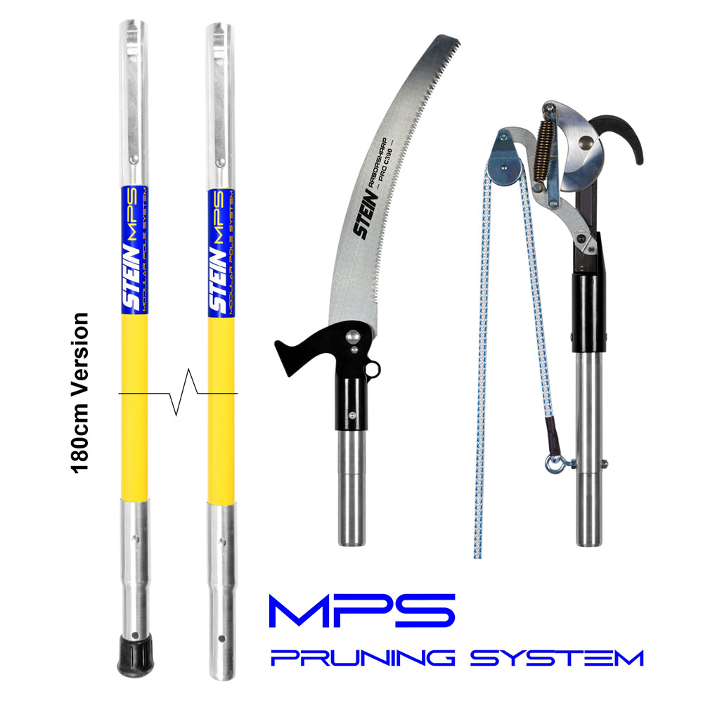 Stein MPS Pruning Kit