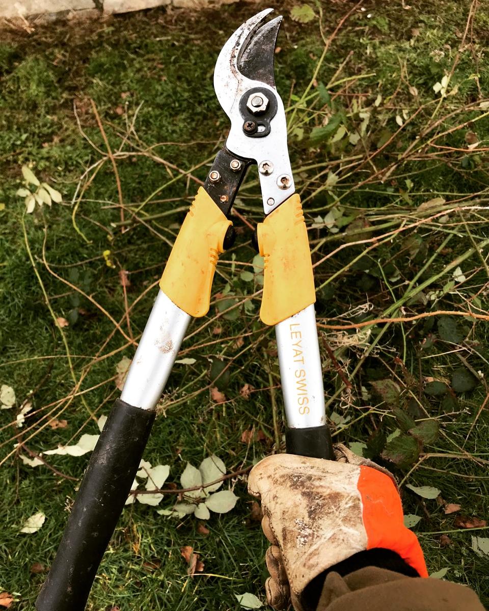 Leyat Professional Compact Loppers (45cm) - Image 5