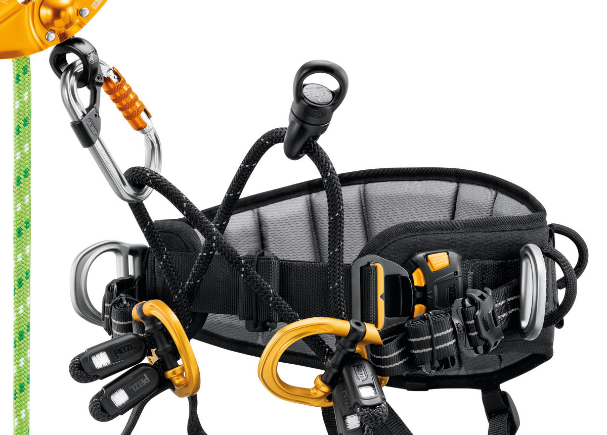 Petzl Sequoia Harness 2026 - Image 5
