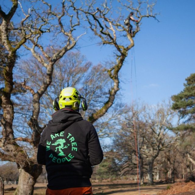 @dendroidclothing: Crafted by tree lovers, for tree lovers. This clothing line has a variety of shirts, sweaters, hats and accessories with some wicked designs for any tree person in your life.

Shop the collection now on our website ➡️ linked in our bio.

#HoneyBros #HoneyBrothers #wearetreepeople #dendroidclothing