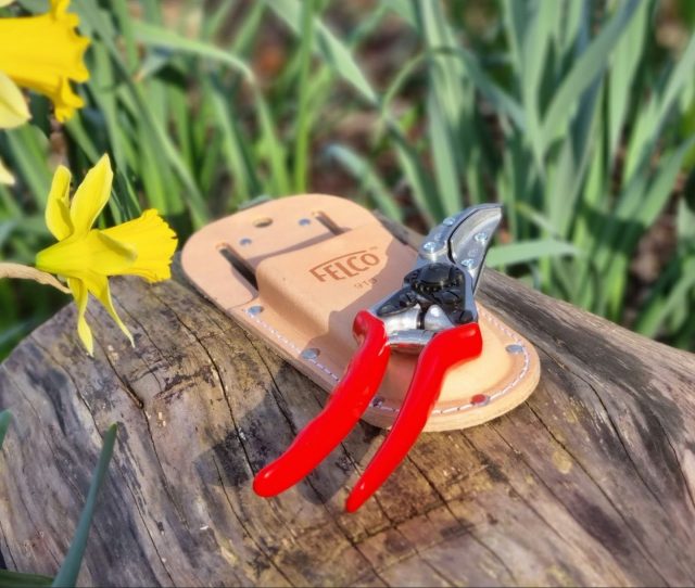 Embrace the arrival of spring with @felco_official secateurs by your side.  Reliable. Efficient. Ergonomic. 

It's time to get pruning! 

#HoneyBros #HoneyBrothers #SpringTime #PruningEquipment