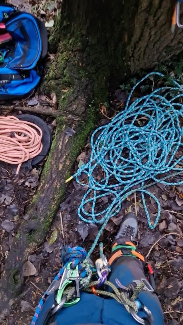 “Trying out the new @sterlingrope 11.5mm Scion Turquoise. Great rope, my favorite for 24 strand rope. Works great on MRS and SRT.”

The Scion’s ability to absorb dynamic forces makes this rope ideal for MRS, and SRS climbing techniques.

📽️: @treewolf_tay

#HoneyBros #HoneyBrothers #ProductReview