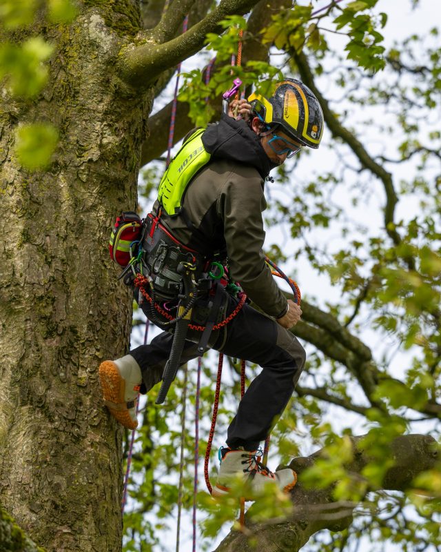 @atattoedarborist repping the @reecoil_dot_com Audax while having a reccy climb and cheeky practice for the comps.

The AUDAX™ Hydration Harness is the world’s first complete hydration pack, chest harness and harness suspender solution for arborists.

Grab yours ready for this Summer.

#reecoil #Audax #arborist #arblife #honeybros