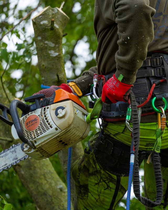 Gripin'ell! The Pfanner fine grip gloves are perfect for climbers.

Chuck a pair in the basket at checkout, you can never have enough gloves in the van. 

#honeybros #pfanner #arborist #arboriculture #treeclimber