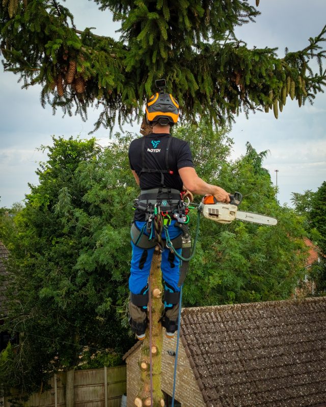 All NEW @notchequipment products have landed at Honey Brothers.

🔹Catalyst Climbing Harness
🔹Ergo Steel Climbing Spikes
🔹Chester DLX Chest Harness

Find out more online and come try the products on for size at both the shops. 

#honeybros #notchequipment #arborist #arblife #treework