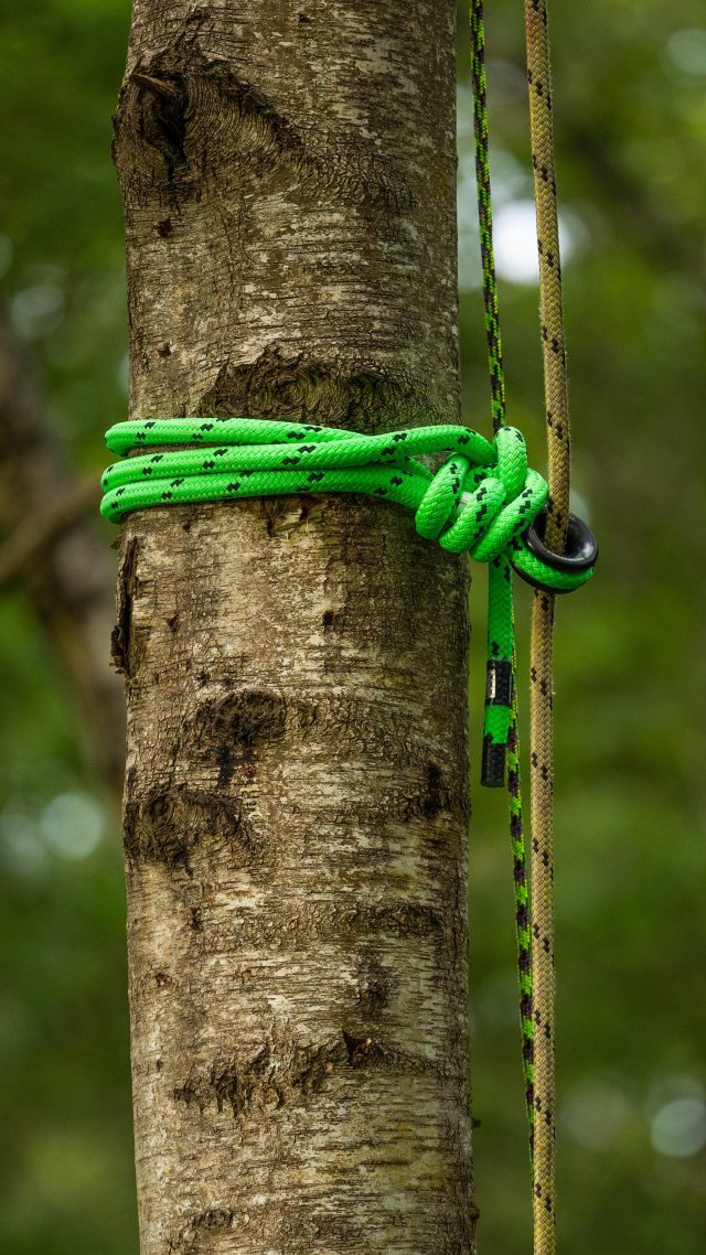 The Fishing Pole Effect for rigging. 

@conan_tree explains how using this set up can prevent shock loading the climber and maximise the strength in the stem, to rig safely and efficiently. 

#honeybros #arborist #rigging #treework #arboriculture