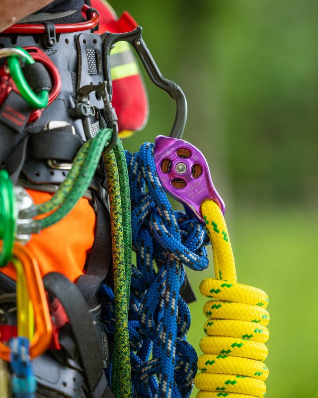 Old vs New on the ‘The Pulley I Need To Own’ 

The Pinto (Pulley I Need To Own) is loved the world over, but even classics deserve an upgrade, which is exactly what @dmm_wales have done with the Pinto Rig 2.

With smooth lines, textile friendly connections and a full strength becket, Pinto pulleys are incredibly versatile pulleys that work well in most moving rope systems.

Grab em now! 

#dmmwales #dmm #rigging #honeybros #arborist