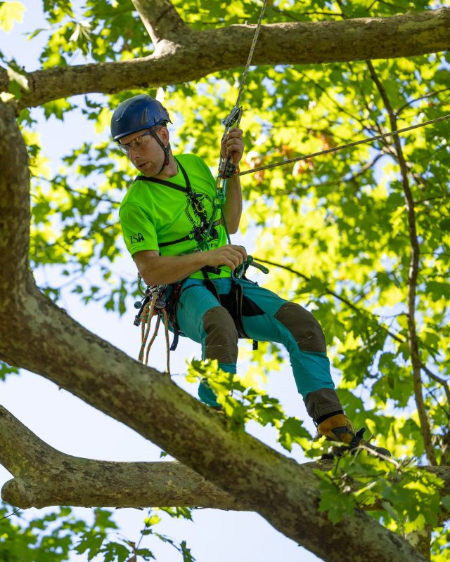 Mr Magic Mike aka @mickarblife aka Mike Curwen will be talking all things @ftctree  on the Honey Brothers stand (A6-9) on Friday 20th September at 11am! Stick it in your APF diary!

#ftc #ftctree #honeybros #arborist #arbgear #treeclimber