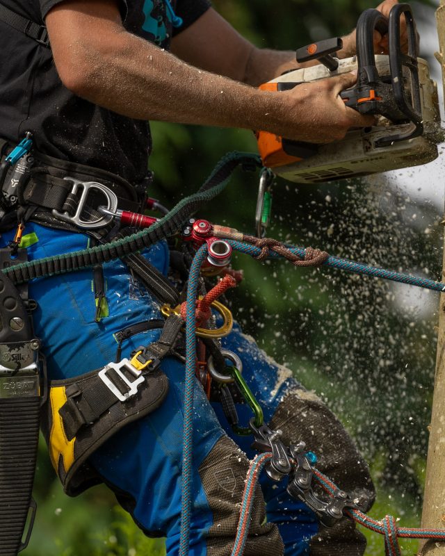 Unlock your climbing potential with the @camp1889work Gyro Lanyard.

Designed for ultimate freedom of movement, smooth adjustments, and long-lasting durability. Whether you're using it on front or side attachment points, this innovative lanyard gives you the flexibility and safety you need.

Shop all things CAMP on the Honey Bros stand at the APF and online.

#campsafety #camp1889 #honeybros #arborist #arblife #lanyard #treeclimber