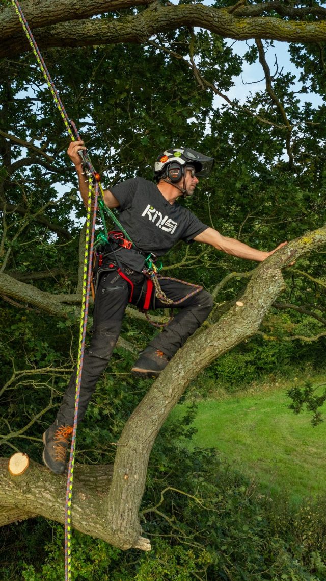 The DMM Kinisi Pro has landed!!! #dmmwales #dmmprofessional #arborist #arblife #treeclimber