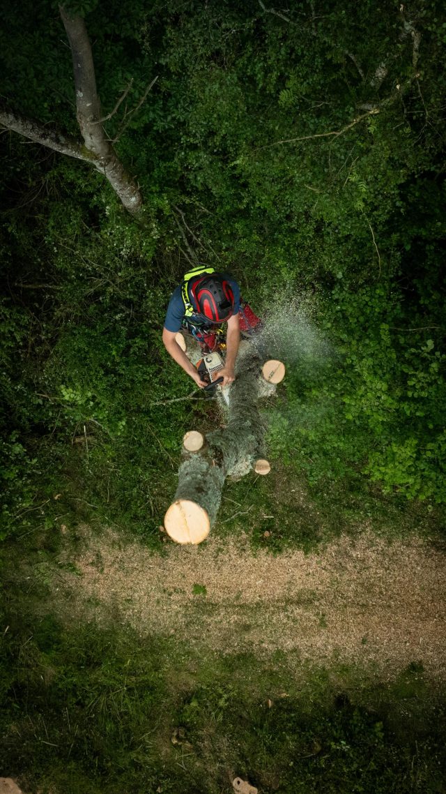 @connor_dempsey97 sending an ash log. 

Repping the Hi Vis @reecoil_dot_com Audax 🫶🏻

(Trees removed due to Ash Dieback)

#honeybros #reecoil_dot_com #arborist #treework #treeclimber