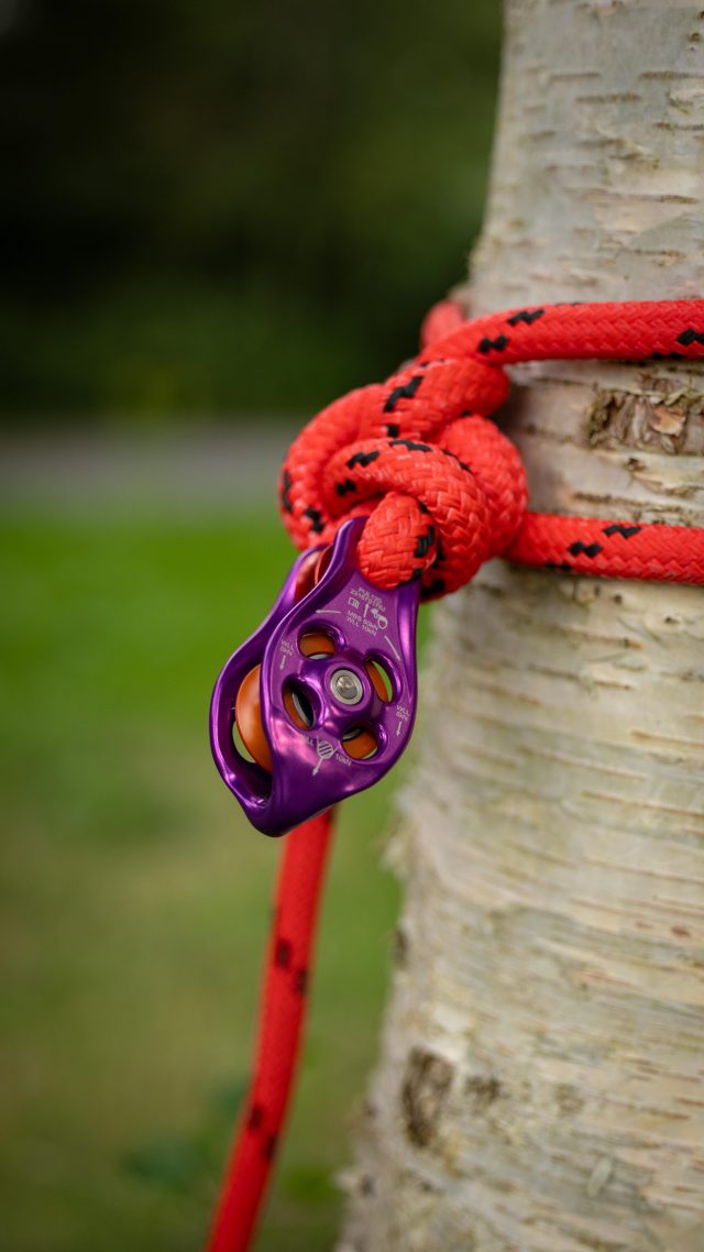 Dead Eye and Cow Hitch VS Ultra Sling set up. Both featuring @dmm_wales Pinto Rig.

Which do you prefer??

Demo by @conan_tree 

#honeybros #rigging #arborist #treeclimber #arblife