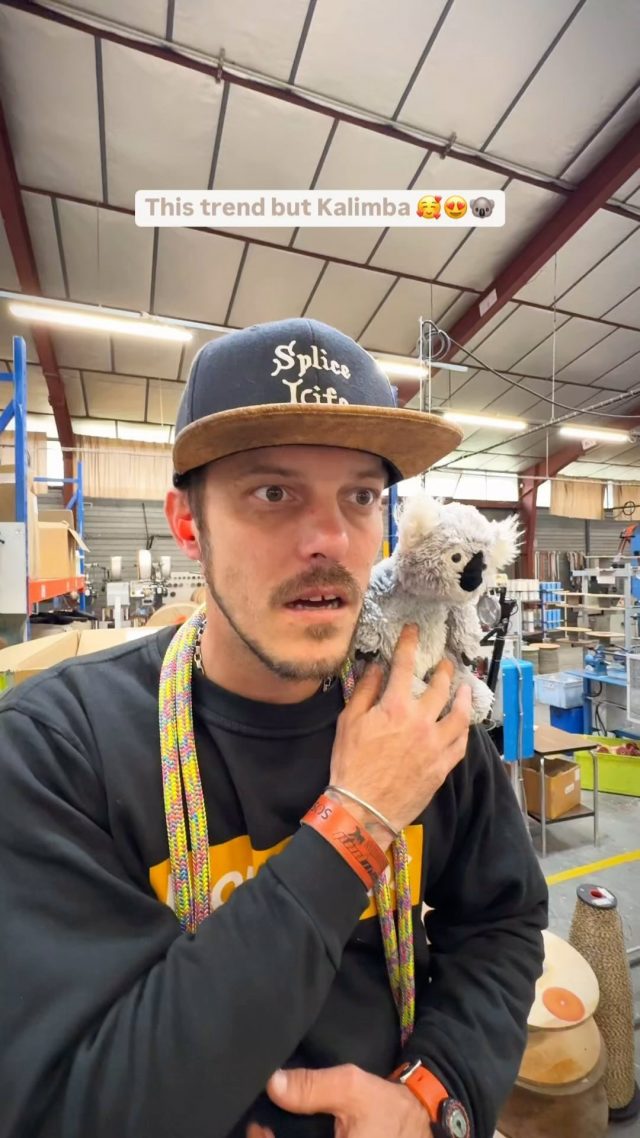 What a view 😍 The @couranttreecare Kalimba in the making 🫶🏻

@atattooedarborist and @exploring_koala taking in the view!

#honeybros #courant #courant_vertical_living #ropesconnectingpeople #climbingrope #treeclimbing