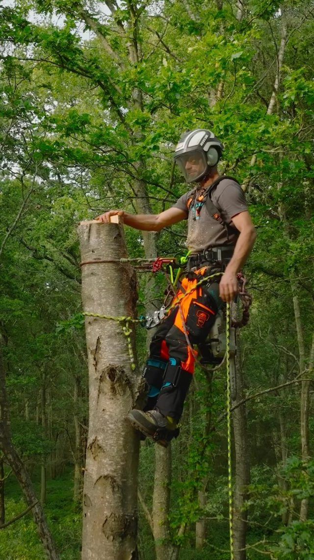 @sip.protection Canopy Air-Go in action.

New blog now live covering everything you need to know about these awesome chainsaw trousers. Tried, tested and reviewed by @conan_tree 

#honeybros #sipprotection #wearesipprotection #chainsaw #chainsawtrousers #arborist