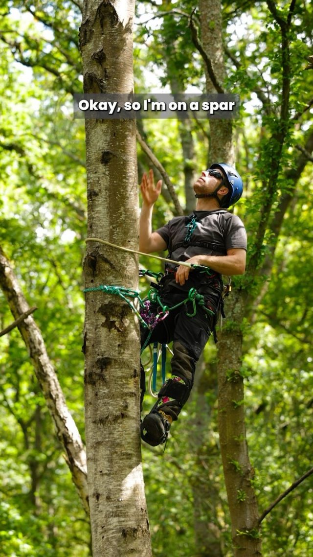 A simple way to retrieve your gear when using SRT.

Tips and tricks from @mickarblife 

Featuring @sterlingrope 11.5mm Scion

#honeybros #arborist #srt #climber #treeclimber #arblife