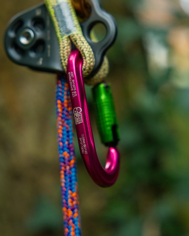 The Quality Streets of Carabiners 🤤

Grab a couple of shiny @tree_punk X Honey Brothers carabiners, the perfect arb decorations for the Xmas tree AND fresh biners for climbing in the new year - win, win🤌🎄

#honeybros #treepunk #arborist #arblife #treeclimber #carabiner #climbinggear