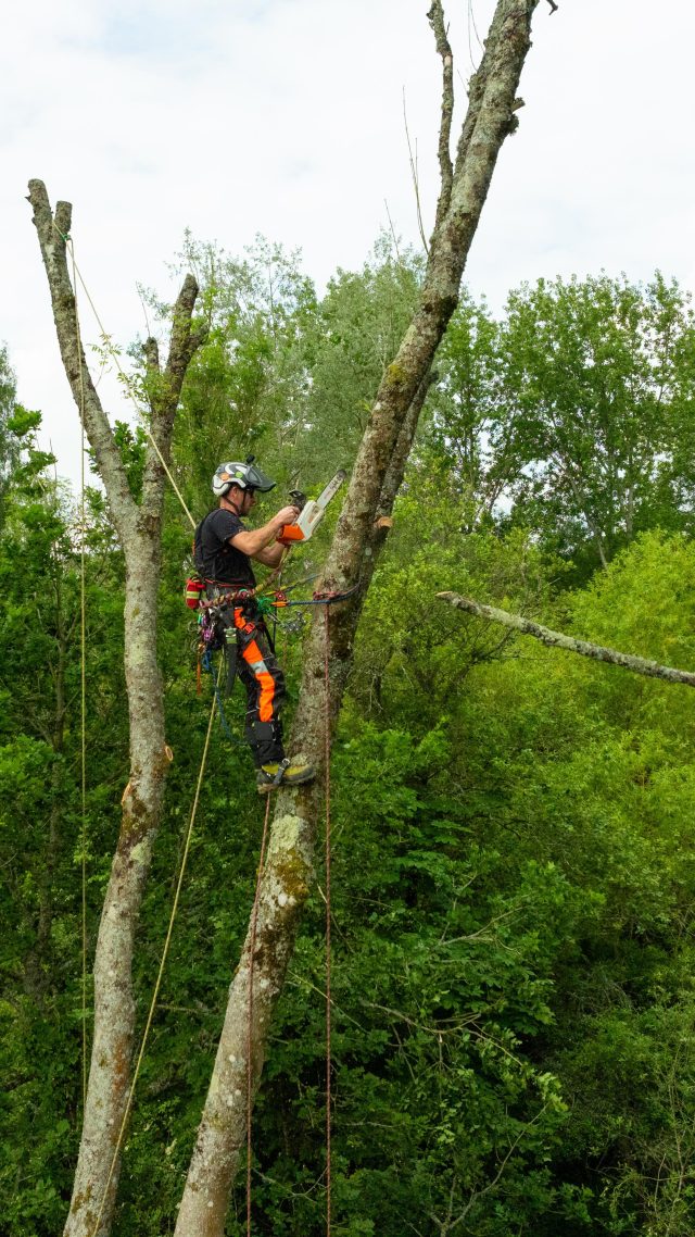 Ah 💩 

💨 Sometimes it’s just the way it is, thankfully all was good 😅 

@conan_tree in the tree, first reaction ‘was the drone okay 😂’ 

No person or drone was harmed 

#subtleforeshadowing #honeybros #arborist #arblife #treework #itiswhatitis