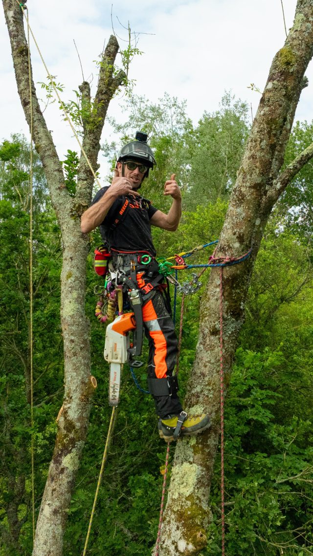 Last send before Xmas! One tree in one minute.

Ash dieback takedowns with Charterhouse Tree Care

@conan_tree up top 🙌

#honeybros #arborist #treework #treeclimber #arblife #chainsaw