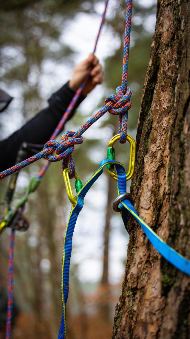 Base anchor set up with the NEW @ftctree Joker Light (Cambium saver / Base Anchor)

The full range of @ftctree Joker Lights are in stock at Honey now. Check em out 🙌

Demo by @conan_tree 

#honeybros #ftctree #arborist #arblife #treeclimber #climbinggear #arbgear