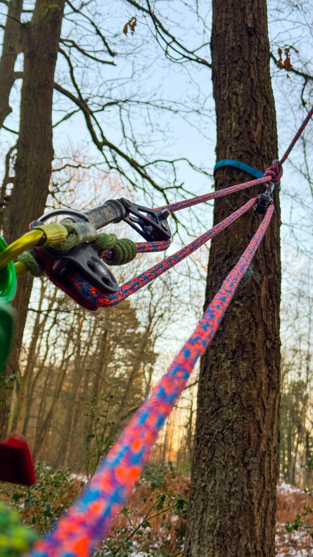 Creating a mechanical advantage from a redirect, featuring the NEW @ftctree Joker Light Friction/Cambium Saver

Demo from @conan_tree 

#honeybros #ftctree #arborist #arblife #treeclimber #climbinggear #arbgear