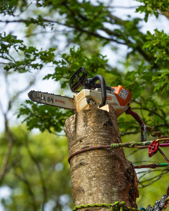 Battery or Petrol - What’s your preference?? 

Check out the full range of @stihlgb battery and petrol chainsaws available now at Honey Brothers. 

Featured saws include: Stihl MSA 220 T and Stihl MS 201

#stihlgb #stihl #chainsaw #honeybros #arborist #treework #tophandle