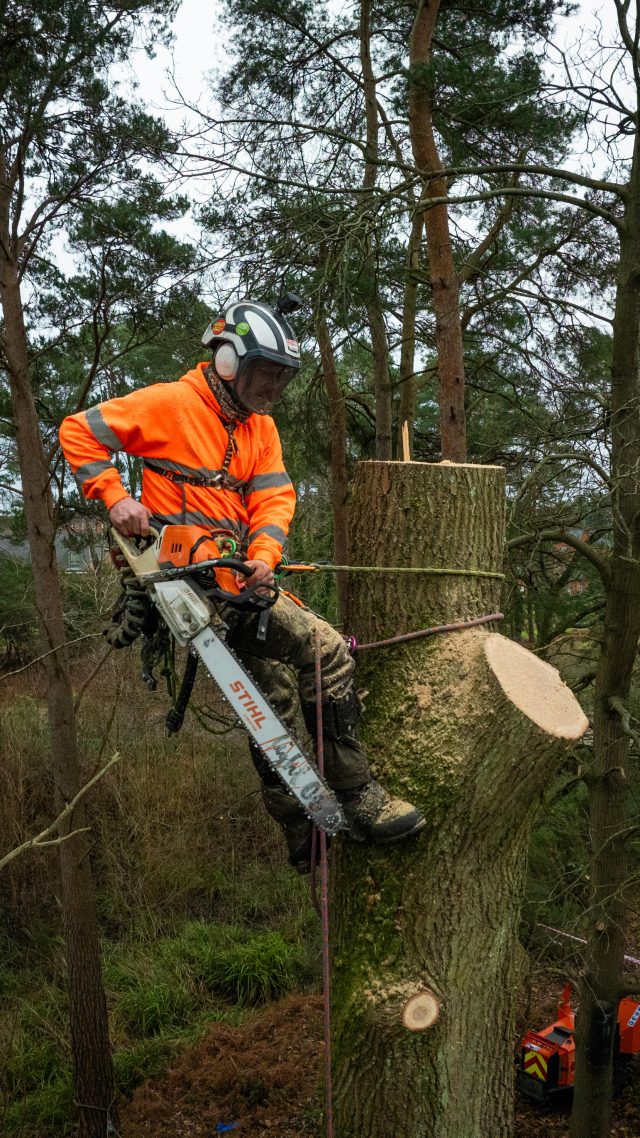 All Hi Vis Portwest Workwear available at Honeys now. Stay orange 🍊🫶🏻

#honeybros #portwest #workwear #onthetools #arborist #hivis