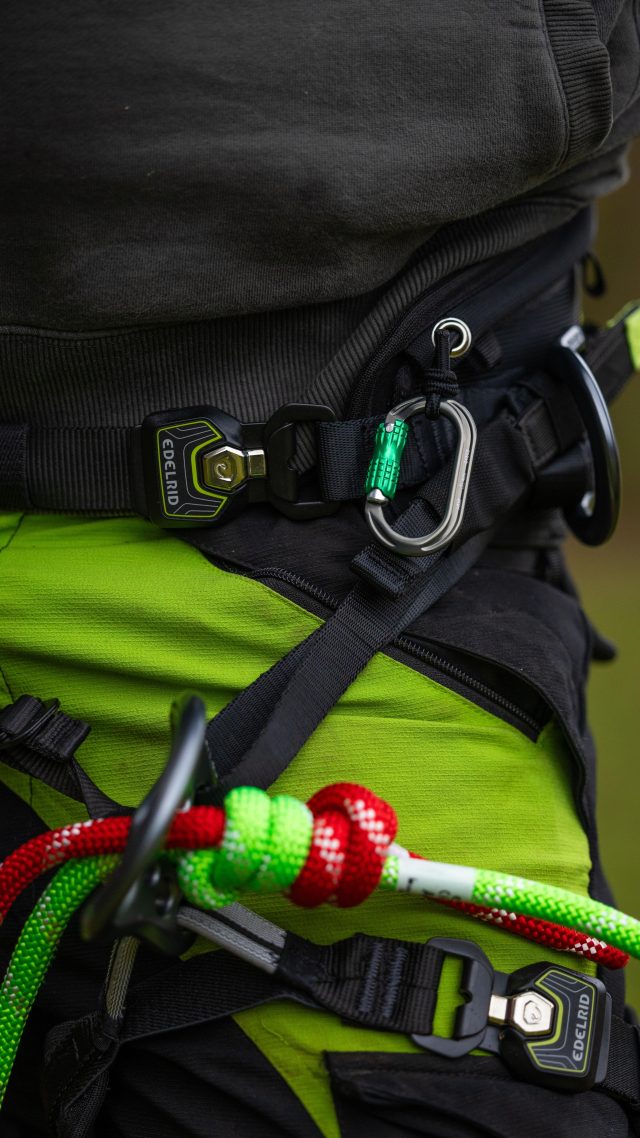 Attaching your knee ascender to the NEW Edelrid TreeRex 2.0 using the integrated bungee.

@atattooedarborist with the demo 🙌

*Accessory carabiner not included 

#edelrid #edelridclimbing #honeybros #arborist #ascender #climbinggear #arblife