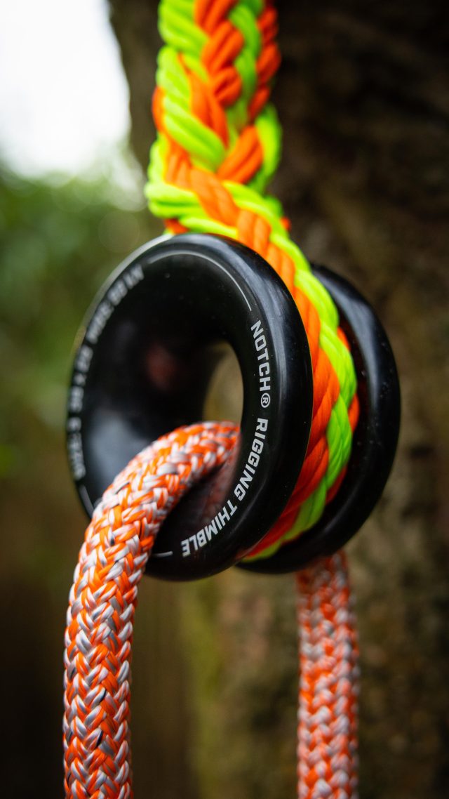 Rope Logic TRex Ultra Sling with Ring Set Up

Features and Benefits: 

▪️Ultimate ease of adjustability meets rigging redirect! Ten pockets allow for hassle-free, knot-free adjustment

▪️Constructed from durable Teufelberger tREX 12-strand hollow braid rigging line

▪️Options with and without Notch hard-coated rigging thimble

▪️Scannable compatible for track and traceability

Shop the full range of @ropelogic TRex rigging slings at HB now. 

#honeybros #ropelogic #rigging #arborist #treework #arblife