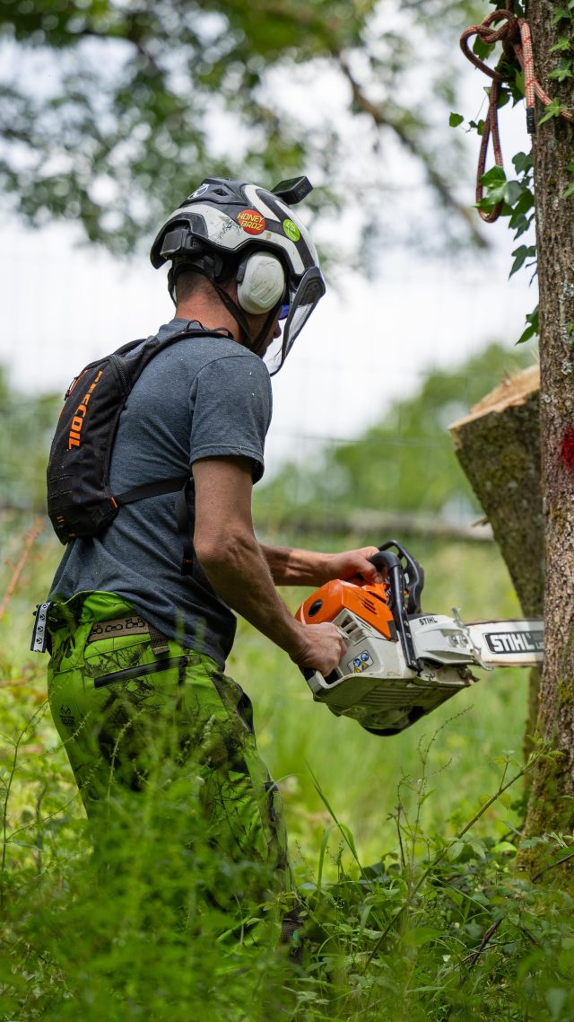 Massive gob to maximise the hinge wood on a leaning Ash.

Fell @conan_tree (Ash Dieback Removal)

#treework #arborist #treefelling #chainsaw #stihl500i #honeybros