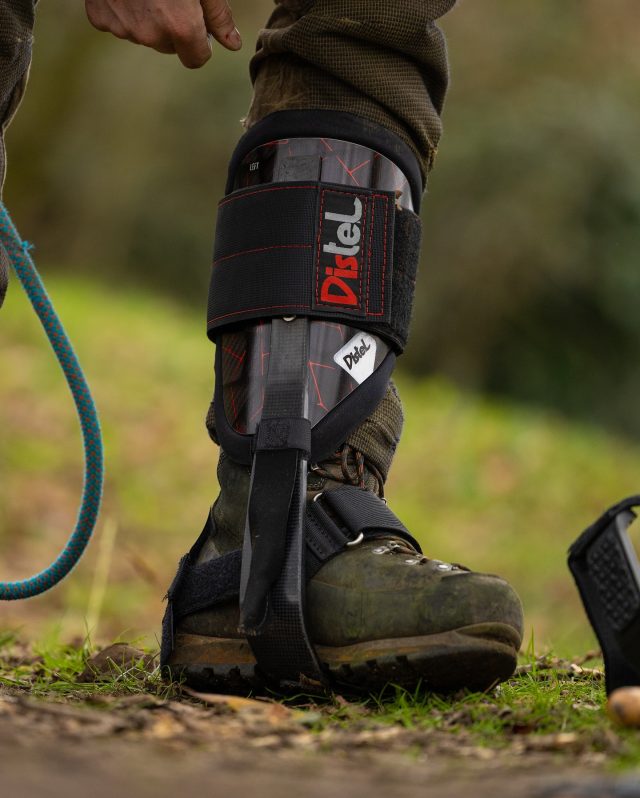 Who’s grabbing themselves some NEW Distels then?

Get the NEW Carbon 3.1 Climbing Spikes from @distelforst in store or online now!

#honeybros #distels #distelforst #treeclimbing #arborist #treework