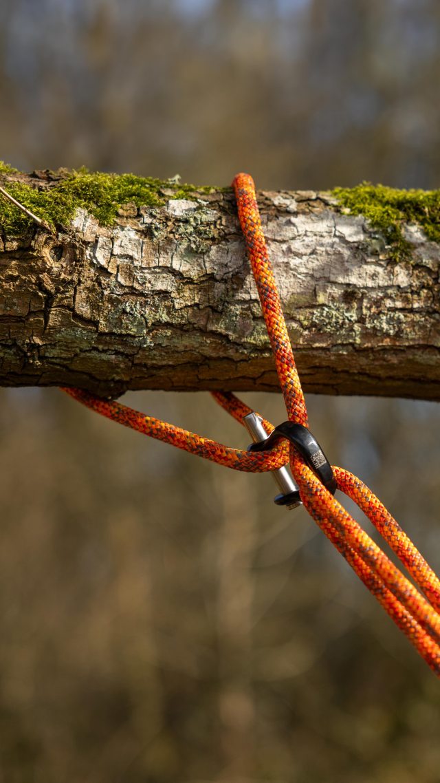 Retrievable redirect with the NEW @notchequipment CE Quickie.

Featuring the @dmm_wales revolver rig and @samsonrope NEW Mercury climbing line. 

#honeybros #notchequipment #dmmwales #samsonrope #arborist #arblife #treeclimber #climbinggear