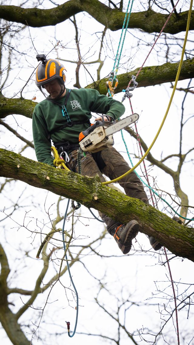 Smooth cradle rigs with the @ropelogic TRex Spiderleg Balancer from @tbharb 🙌

(We weren’t allowed to drop it btw)

#honeybros #ropelogic #arborist #rigging #treework #treeclimber