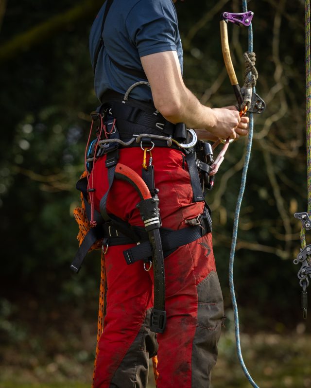 Tightline Arb Magpie Climbing Harness in stock now at HB. 

▪️Lightweight weighing in at just 2kg for size Large

▪️2x designated tool clip attachment points , 1 on each hip

▪️Interchangeable rope bridge with 45mm ID O ring

▪️Bridge attached via 23kn split O ring for replacement and customisation

▪️Independent D ring chainsaw attachment points

▪️Breathable, ergonomic padded waist and leg loops

▪️10 year material life from date of manufacturing

▪️5 year user life from date of purchase

▪️S 75cm – 120cm / 29.5″ – 47″ waist

▪️M 75cm – 120cm / 29.5″ – 47″ waist

▪️L 87cm – 140cm / 34″ – 55″ waist

▪️EN_813: 2008 & EN_358: 2018

▪️CE0082 Apave authenticated certification

#honeybros #climbingharness #arborist #arblife #climbinggear #treeclimber